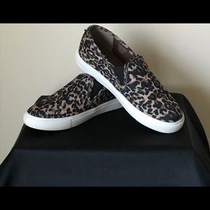 Steve Madden Sneakers